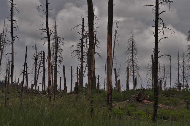 Lake Vallecito fire